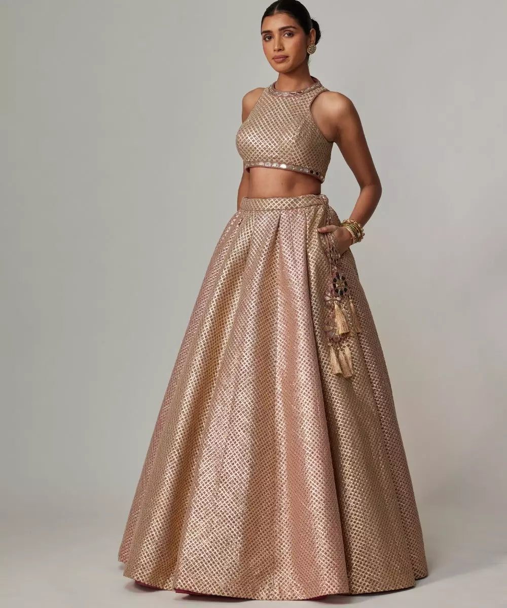 VVANI VATS - Deep beige multicolor Skirt with Crop Top